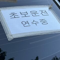 운전연수 후기